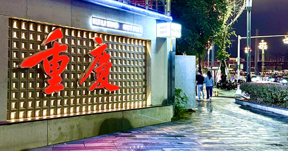 net英语域名查询文档介绍内容