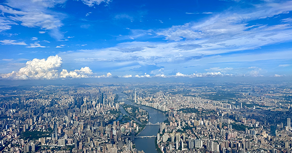 潮州net域名信息查询