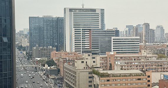 苏州net域名查询