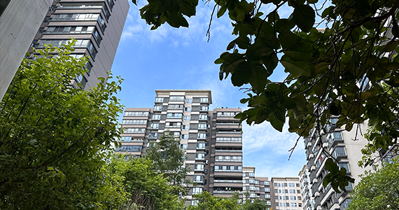 合肥net域名查询