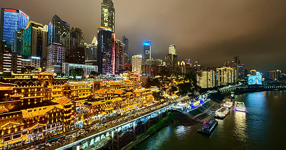 国内net域名信息查询网站