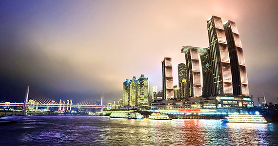 上海net域名服务商名单查询