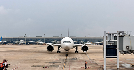 扬州net域名信息查询网