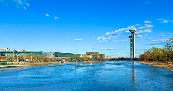 国外net域名查询