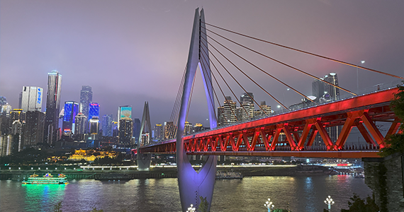 深圳net域名信息查询