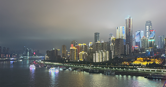 哈尔滨net域名查询