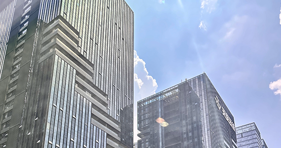 重庆net域名信息查询